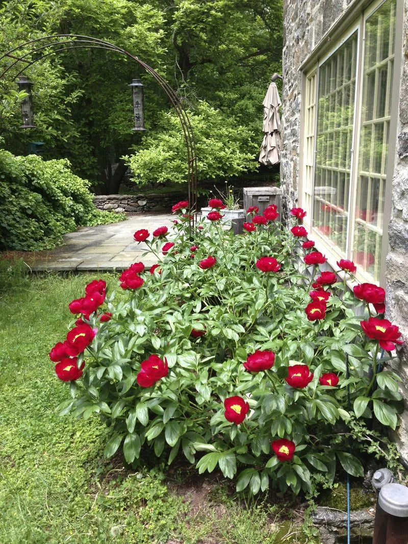 Marfy 3201 .....prep work pt 2